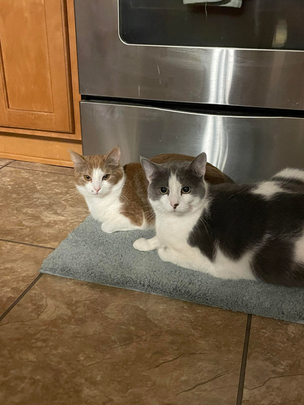 Review from Melissa R.